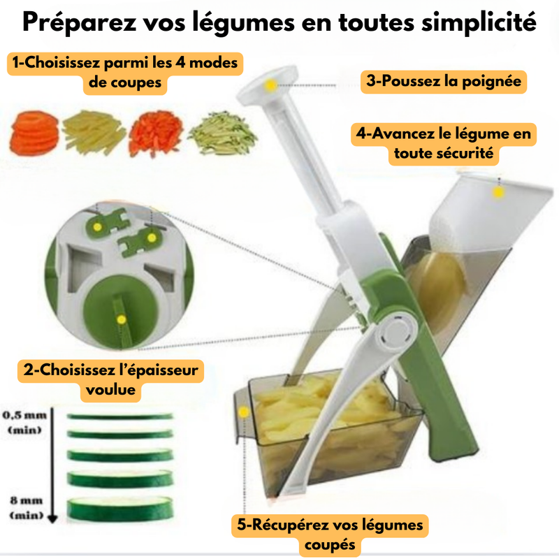 LA MANDOLINE PROFESSIONNELLE